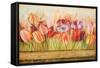 Spring Beauty-Patricia Pinto-Framed Stretched Canvas