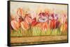 Spring Beauty-Patricia Pinto-Framed Stretched Canvas