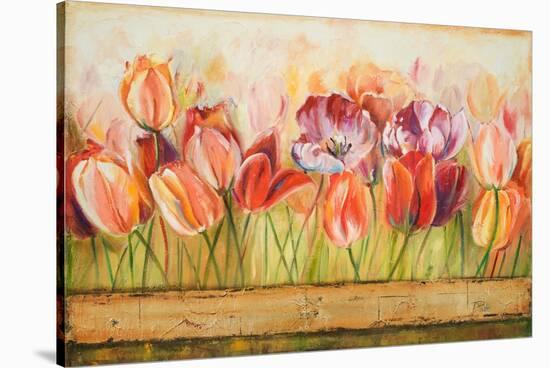 Spring Beauty-Patricia Pinto-Stretched Canvas