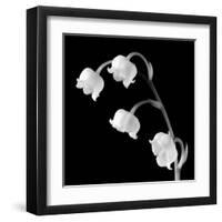 Spring Bells I-Michael Faragher-Framed Art Print