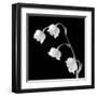 Spring Bells I-Michael Faragher-Framed Art Print