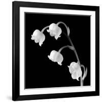 Spring Bells I-Michael Faragher-Framed Art Print