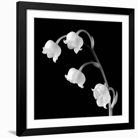 Spring Bells I-Michael Faragher-Framed Art Print