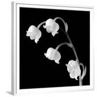 Spring Bells I-Michael Faragher-Framed Premium Giclee Print