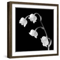 Spring Bells I-Michael Faragher-Framed Art Print