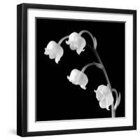 Spring Bells I-Michael Faragher-Framed Art Print