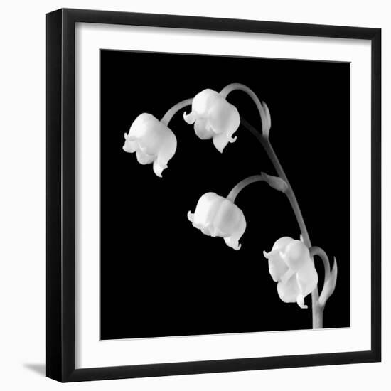 Spring Bells I-Michael Faragher-Framed Art Print