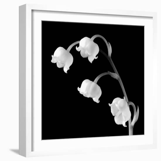Spring Bells I-Michael Faragher-Framed Art Print