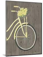 Spring Bike II-Gwendolyn Babbitt-Mounted Art Print