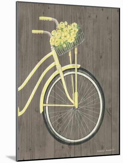 Spring Bike II-Gwendolyn Babbitt-Mounted Art Print