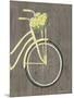 Spring Bike II-Gwendolyn Babbitt-Mounted Art Print