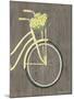 Spring Bike II-Gwendolyn Babbitt-Mounted Art Print
