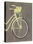 Spring Bike II-Gwendolyn Babbitt-Stretched Canvas