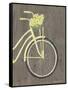 Spring Bike II-Gwendolyn Babbitt-Framed Stretched Canvas