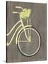 Spring Bike II-Gwendolyn Babbitt-Stretched Canvas