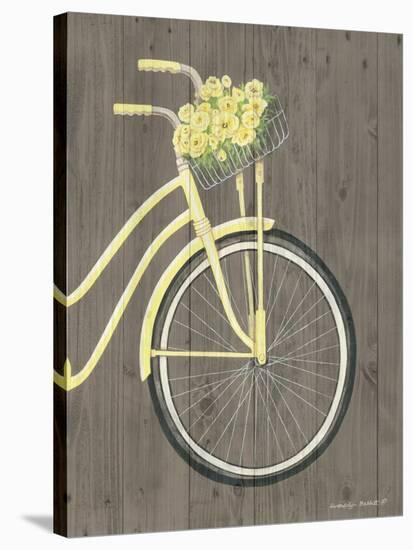 Spring Bike II-Gwendolyn Babbitt-Stretched Canvas