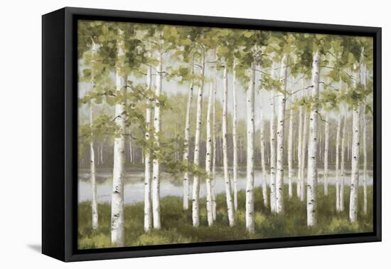 Spring Birch Tree Grove-Jill Schultz McGannon-Framed Stretched Canvas