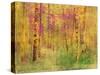 Spring Birch Trees-GI ArtLab-Stretched Canvas