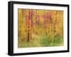 Spring Birch Trees-GI ArtLab-Framed Premium Giclee Print