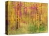 Spring Birch Trees-GI ArtLab-Stretched Canvas