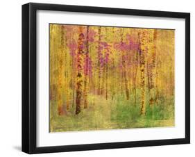 Spring Birch Trees-GI ArtLab-Framed Giclee Print