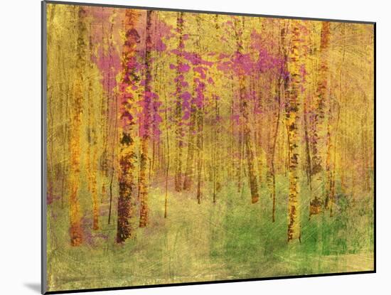 Spring Birch Trees-GI ArtLab-Mounted Giclee Print