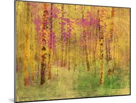 Spring Birch Trees-GI ArtLab-Mounted Giclee Print