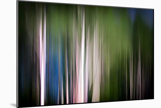 Spring Birches-Ursula Abresch-Mounted Photographic Print