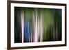 Spring Birches-Ursula Abresch-Framed Photographic Print