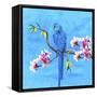 Spring Bird And Flower-Ata Alishahi-Framed Stretched Canvas