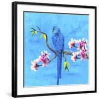 Spring Bird And Flower-Ata Alishahi-Framed Giclee Print