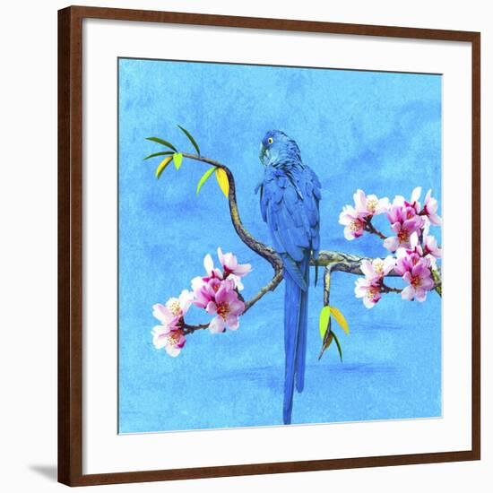 Spring Bird And Flower-Ata Alishahi-Framed Giclee Print