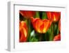 Spring Bling-pudding-Framed Photographic Print