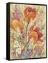 Spring Bloom II-Tim OToole-Framed Stretched Canvas