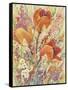 Spring Bloom II-Tim OToole-Framed Stretched Canvas