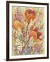 Spring Bloom II-Tim OToole-Framed Art Print