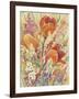 Spring Bloom II-Tim OToole-Framed Art Print