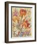 Spring Bloom II-Tim OToole-Framed Art Print