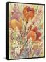 Spring Bloom II-Tim OToole-Framed Stretched Canvas