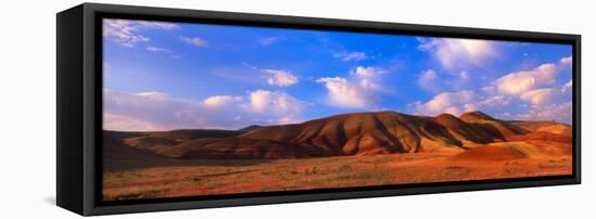 Spring Bloom in Painted Hills National Monument, Oregon, USA-Terry Eggers-Framed Stretched Canvas