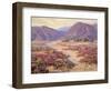 Spring Bloom in the Desert-Benjamin Chambers-Framed Art Print