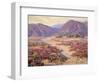 Spring Bloom in the Desert-Benjamin Chambers-Framed Art Print