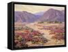 Spring Bloom in the Desert-Benjamin Chambers-Framed Stretched Canvas