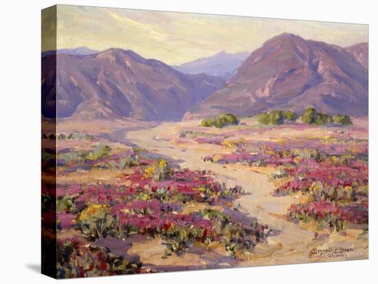 Spring Bloom in the Desert-Benjamin Chambers-Stretched Canvas