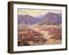 Spring Bloom in the Desert-Benjamin Chambers-Framed Art Print