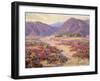 Spring Bloom in the Desert-Benjamin Chambers-Framed Art Print