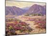 Spring Bloom in the Desert-Benjamin Chambers-Mounted Art Print