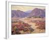 Spring Bloom in the Desert-Benjamin Chambers-Framed Art Print