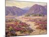 Spring Bloom in the Desert-Benjamin Chambers-Mounted Art Print