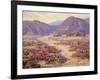 Spring Bloom in the Desert-Benjamin Chambers-Framed Art Print